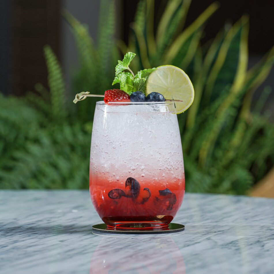 Mixberry Mojito