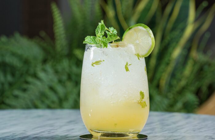 Passion Fruit Mojito